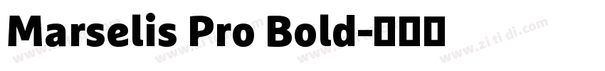 Marselis Pro Bold字体转换